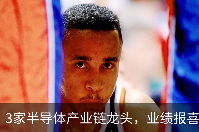 3家半导体产业链龙头，业绩报喜！